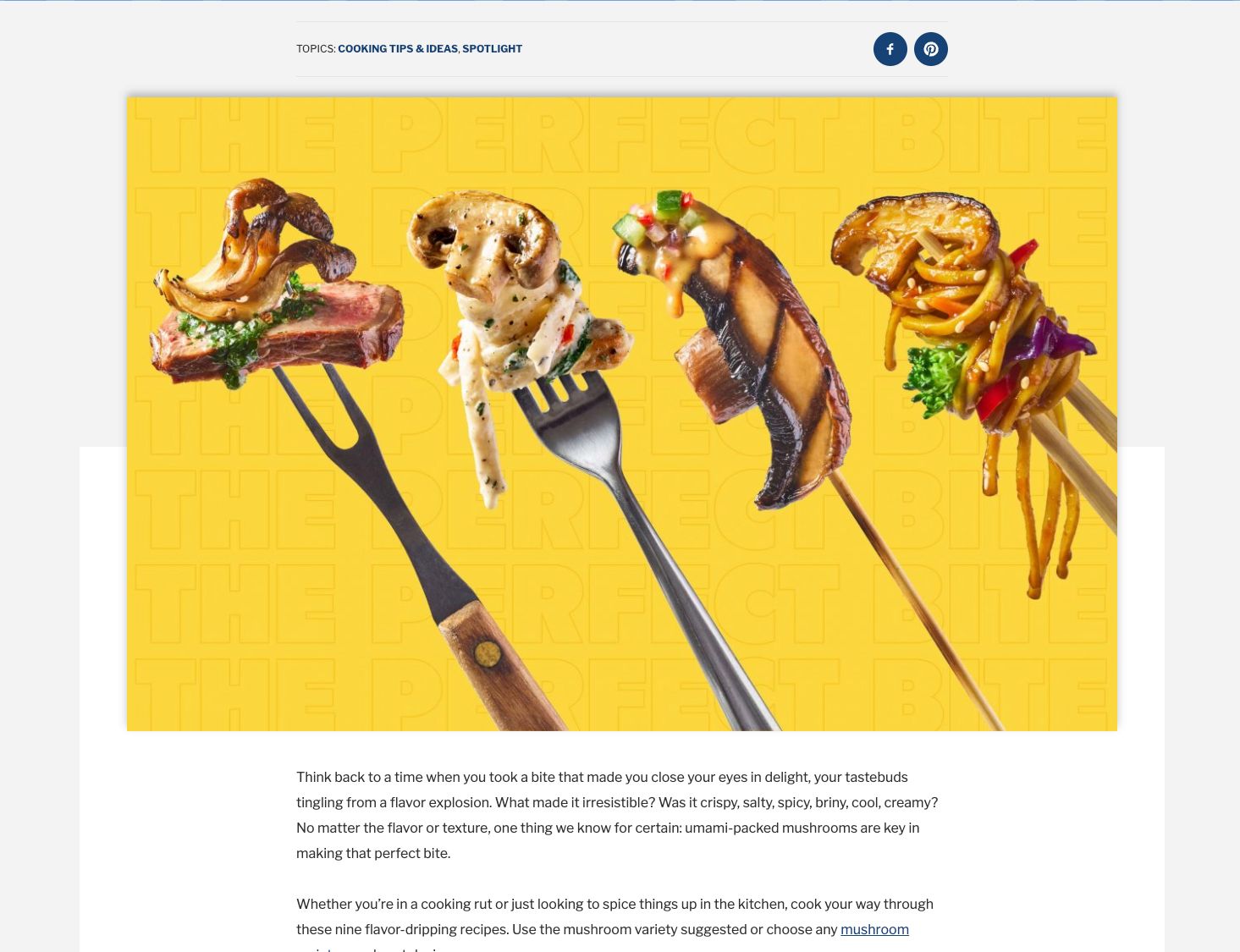 A collection of kitchen utensils and cooking tools arranged artistically on a vibrant yellow background.