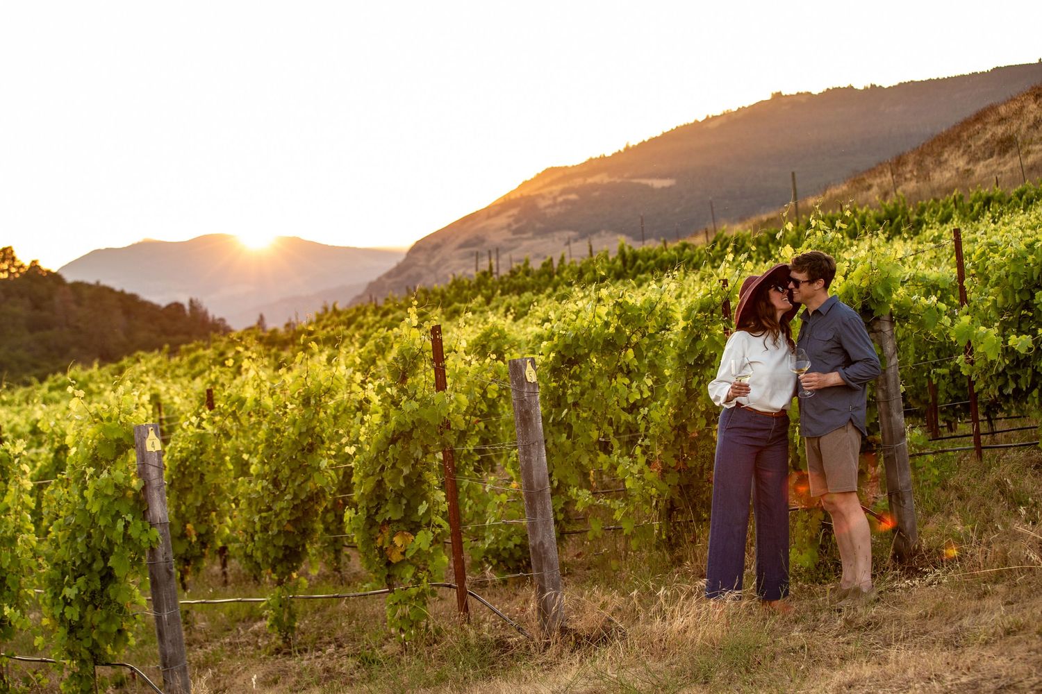 Scenic vineyard landscape at sunset with mountains in the background and workers in the distance.
