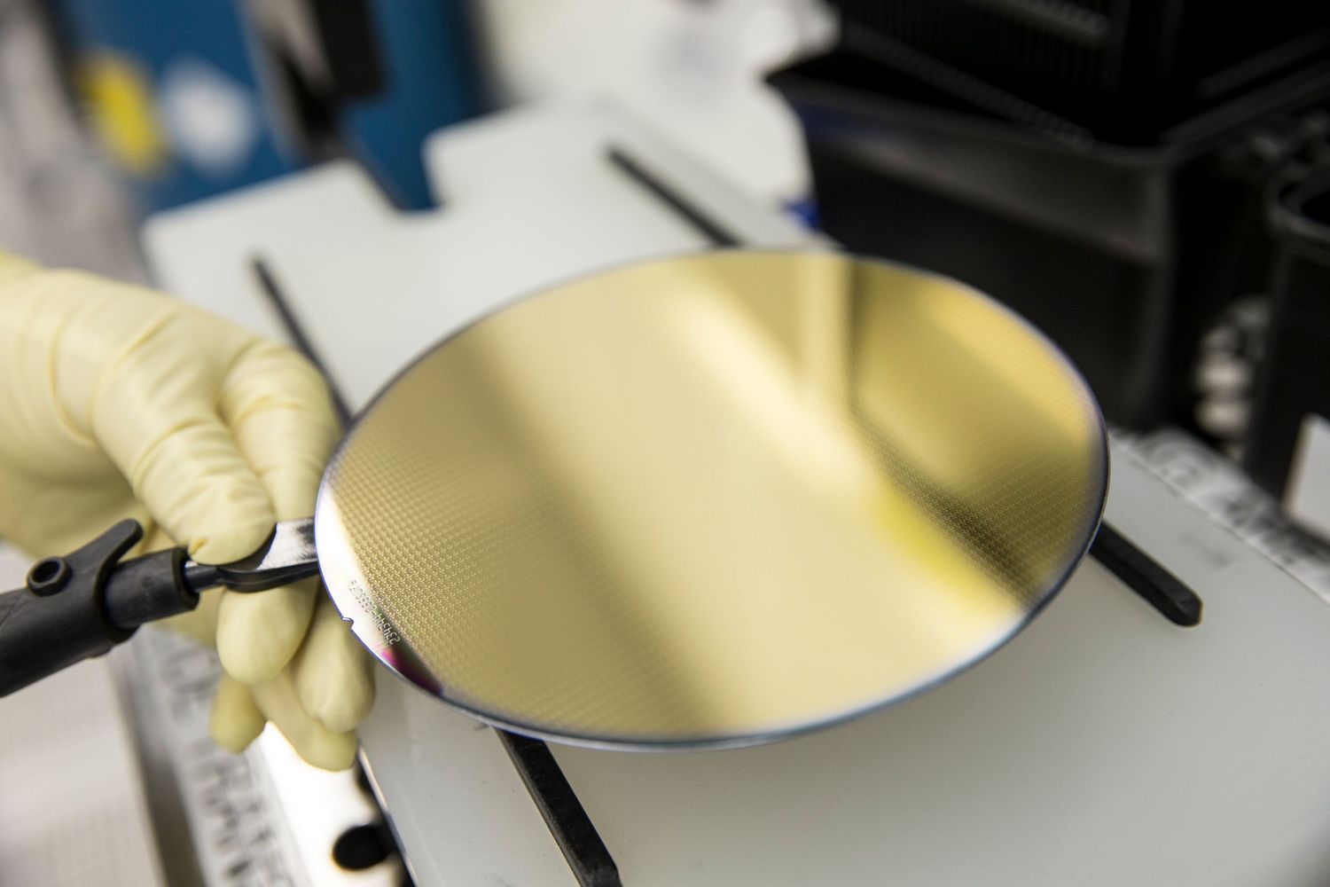 Laboratory technician examining yellow liquid sample in petri dish.