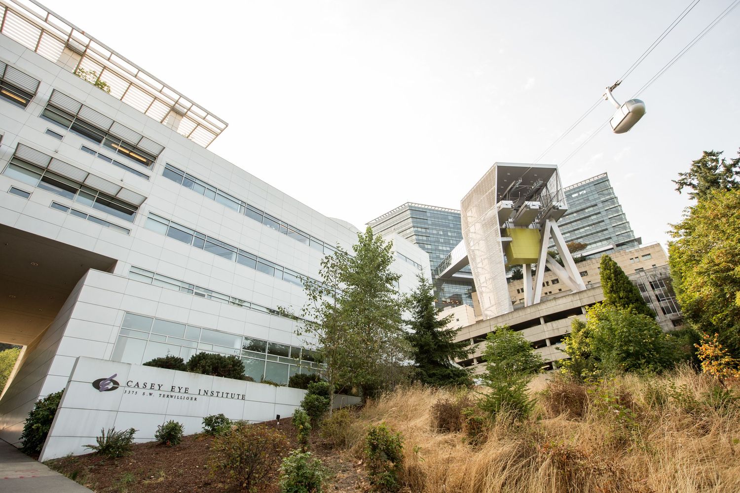 Modern medical facility buildings photographed from exterior angle.
