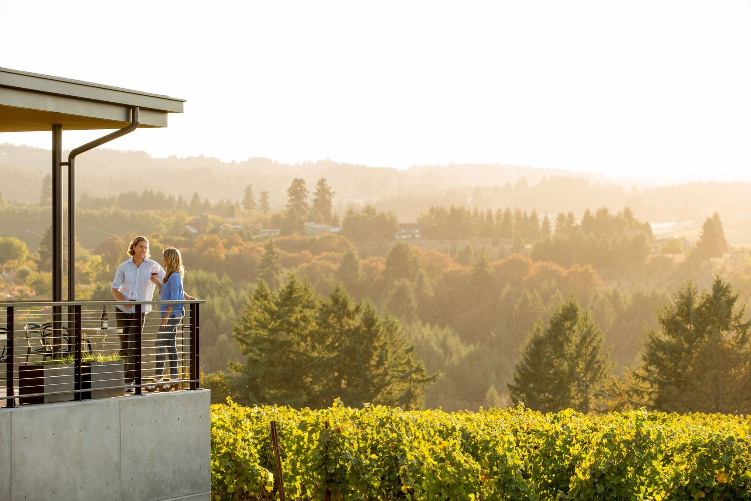 Scenic vineyard overlook from winery deck at golden hour.