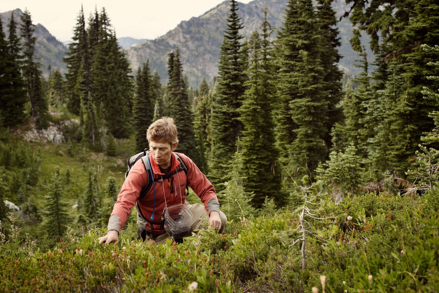 A hiker crouches among wildflowers with evergreen trees and mountains in the background.