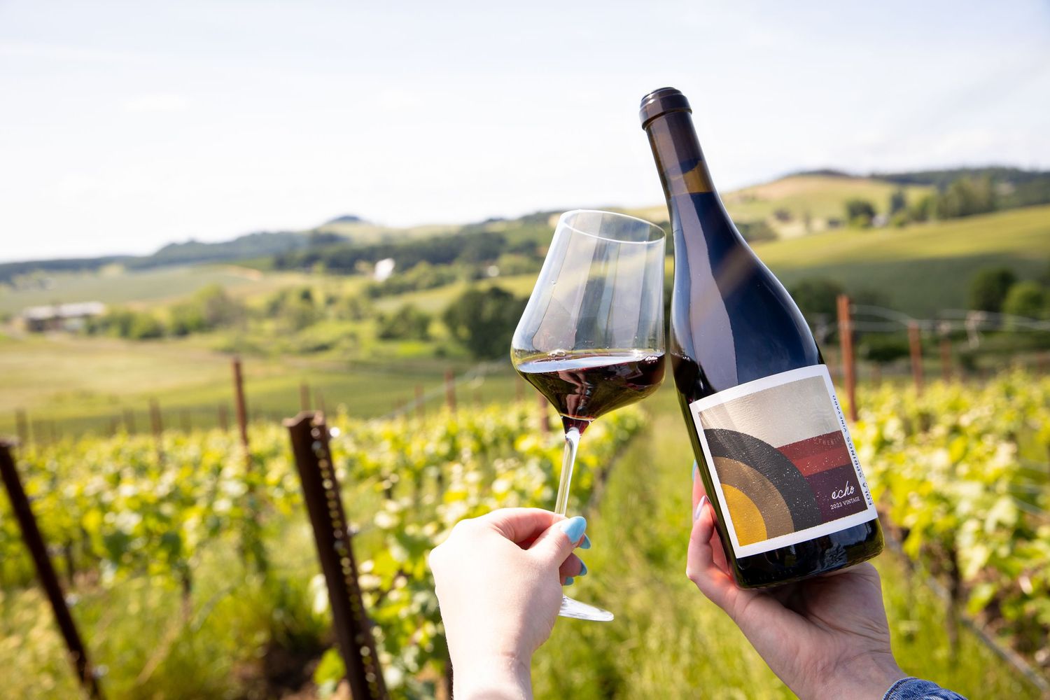 Hands holding a glass of red wine and a wine bottle in a sunny vineyard with green vines and rolling hills in the background.