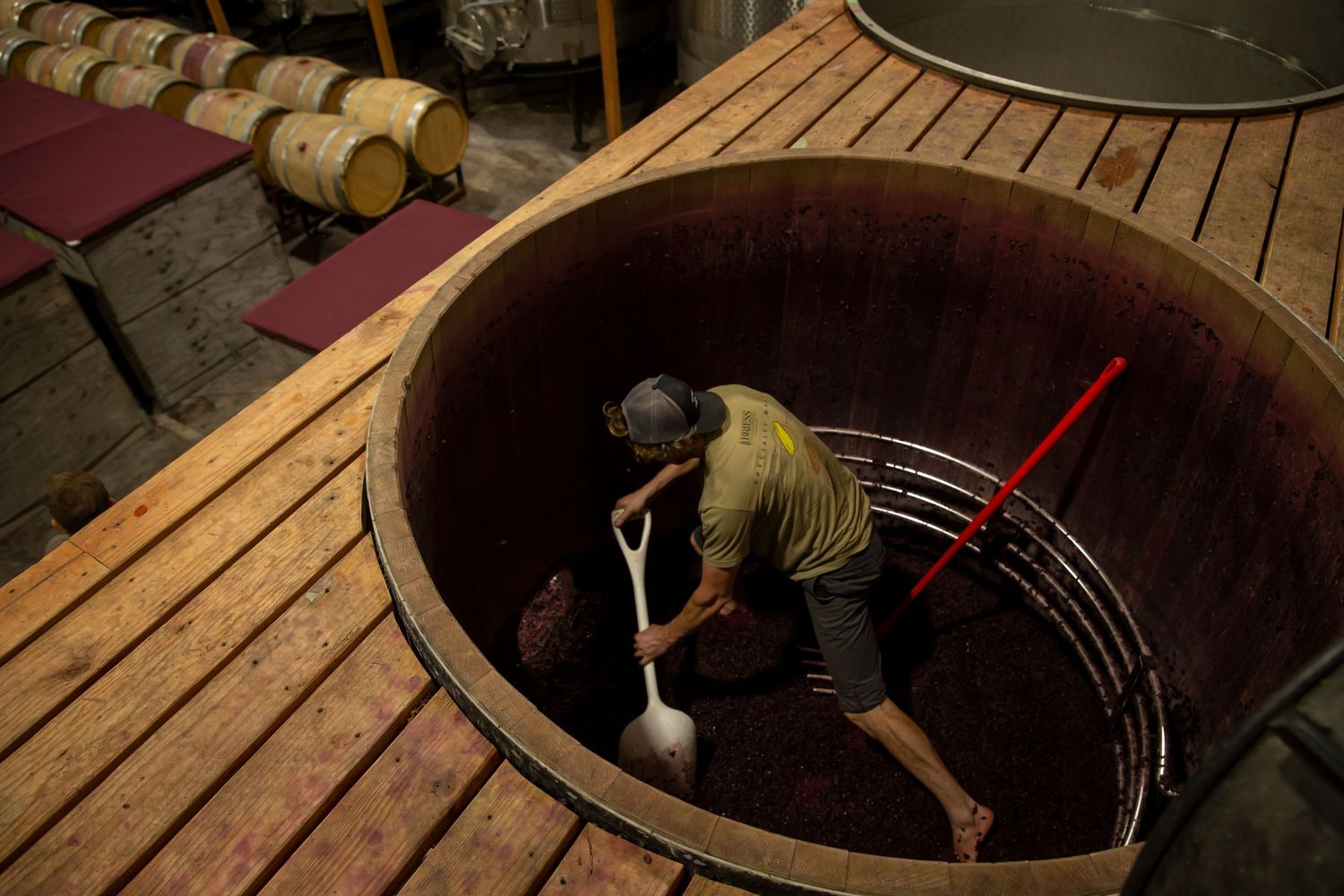 Wine barrel maintenance and cleaning process shown in rustic cellar setting.