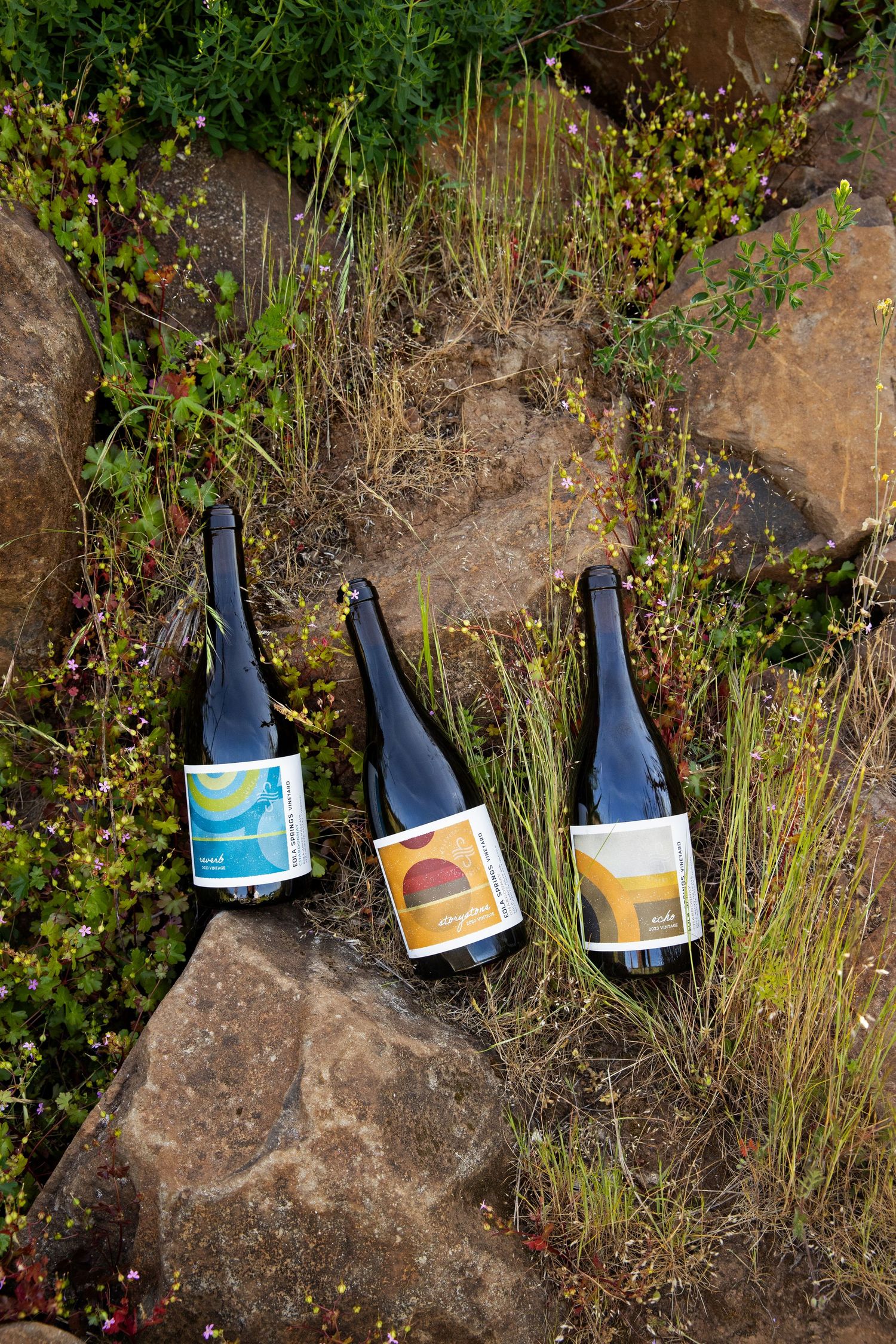 Three wine bottles with colorful abstract labels rest among rocks and wild grasses on a sunny hillside.