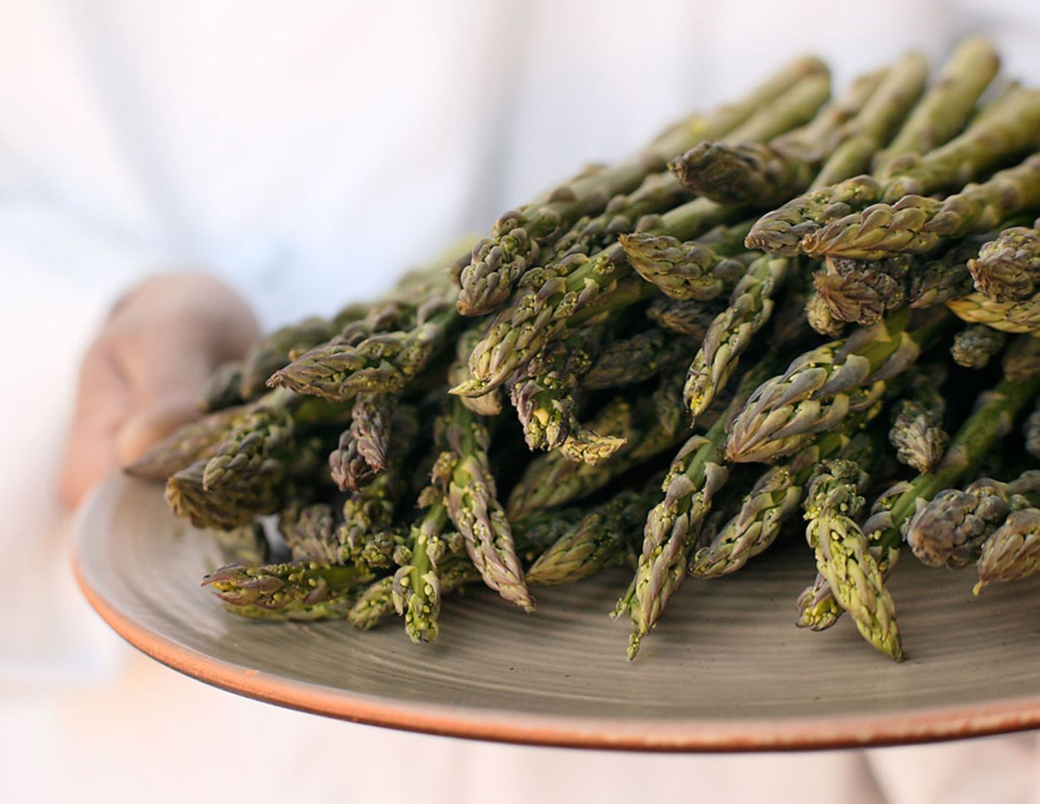 Fresh green asparagus spears arranged on a plate with shallow depth of field.