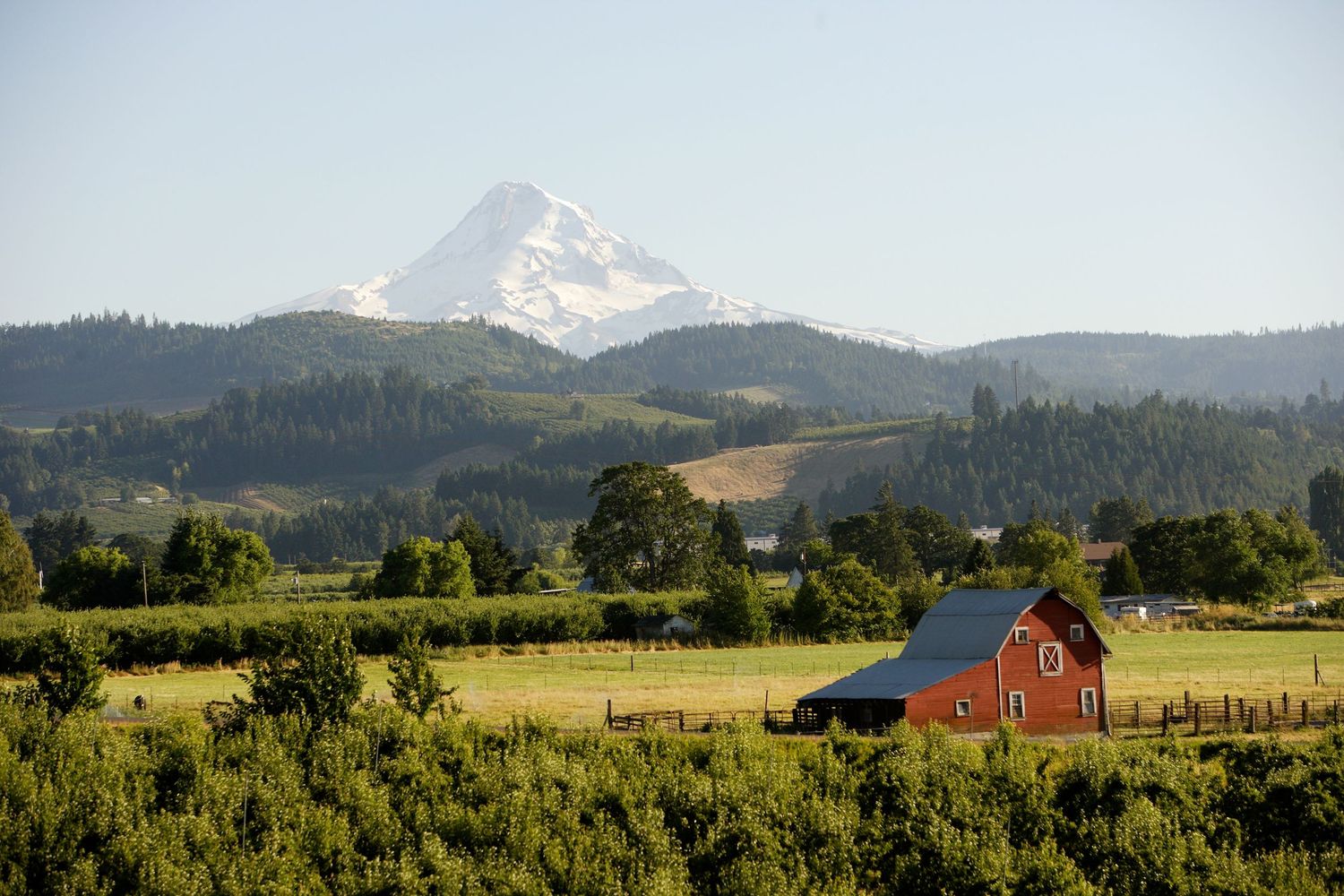 Snow-capped mountain peak towers over a red barn and pastoral farmland in golden evening light.