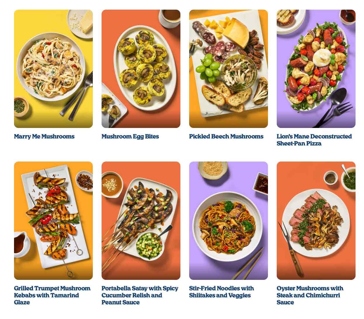 A collection of food photos showing various pasta dishes, salads, and Asian-inspired meals arranged in a grid layout.