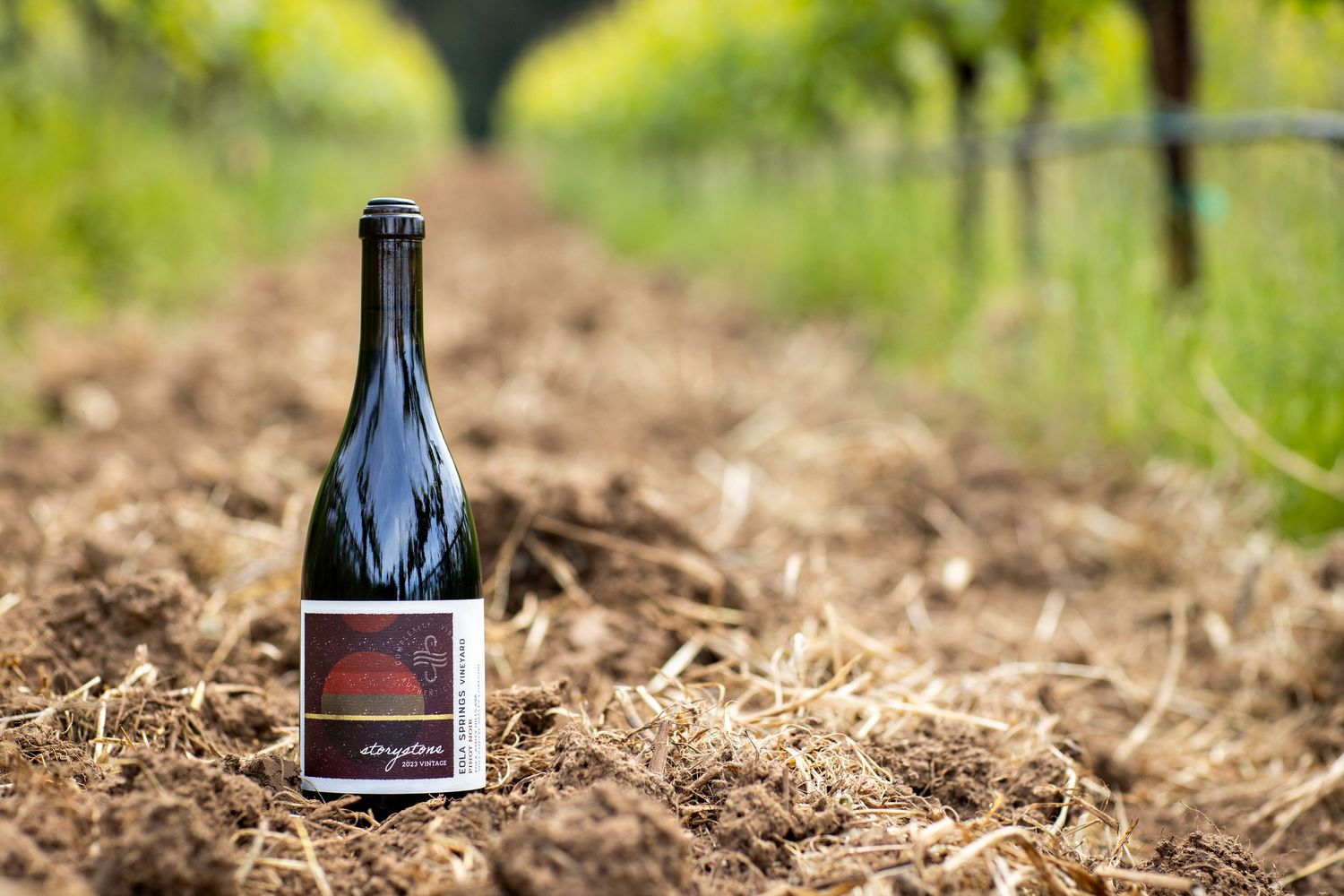 Dark glass wine bottle with a red label standing on straw mulch between rows of green vineyard vines on a sunny day.