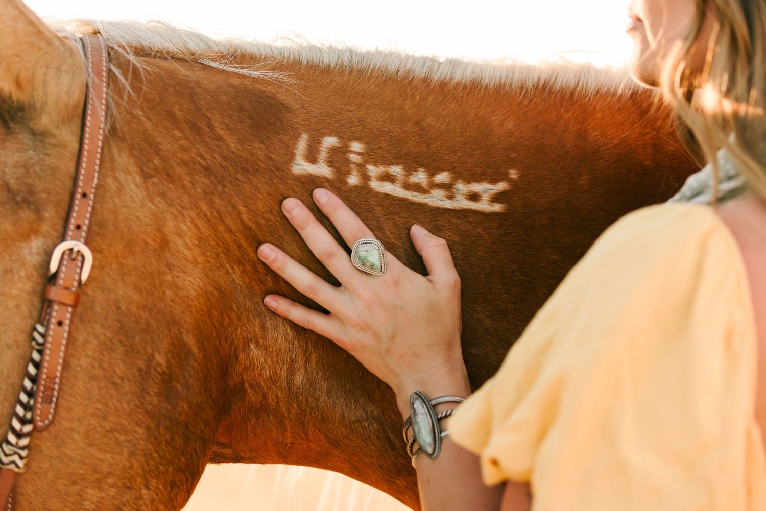 Close up of hand with turquoise ring touching brown horse's coat in warm sunlight.