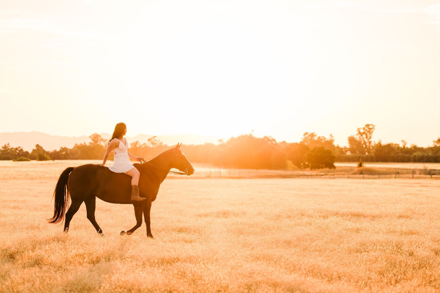 A silhouetted horse and rider stand against a golden sunset in a serene countryside landscape.