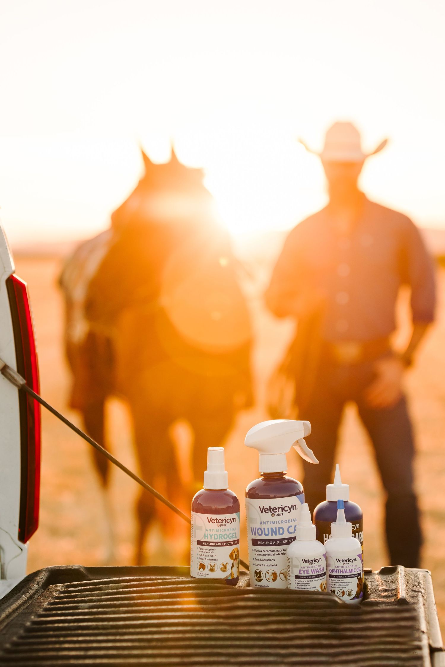 Horse care products and spray bottles silhouetted against sunset with horses in background.