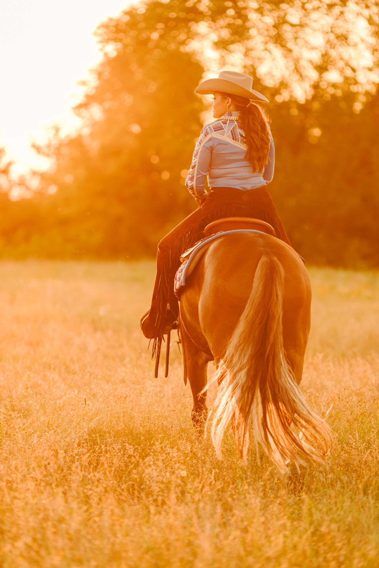 A horse and rider silhouetted against a golden sunset in a grassy field.