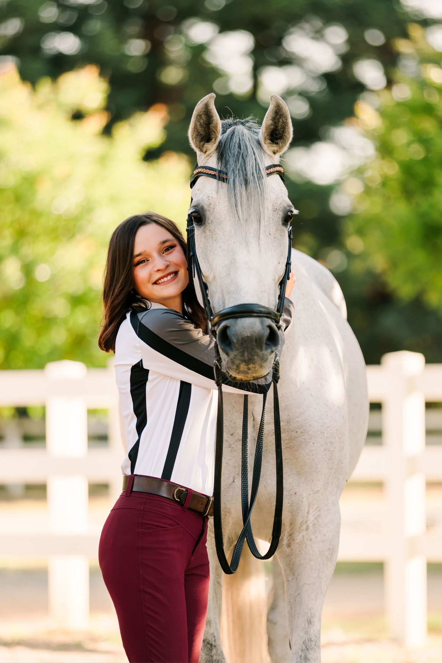 A white horse and companion share tender moments in a sunny outdoor setting with white fencing in the background.
