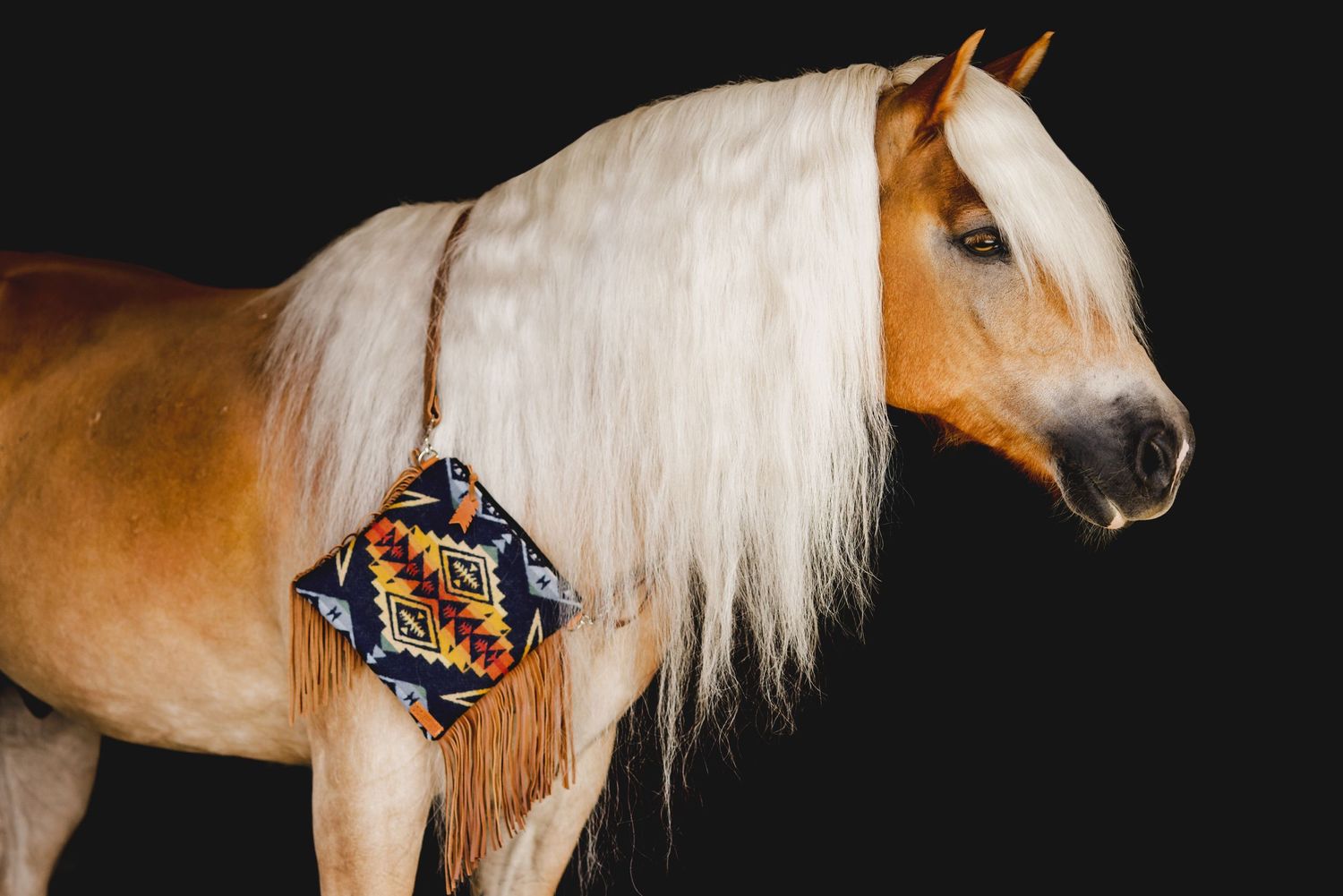 Palomino horse with long white mane wearing decorative beaded show tack against black background.