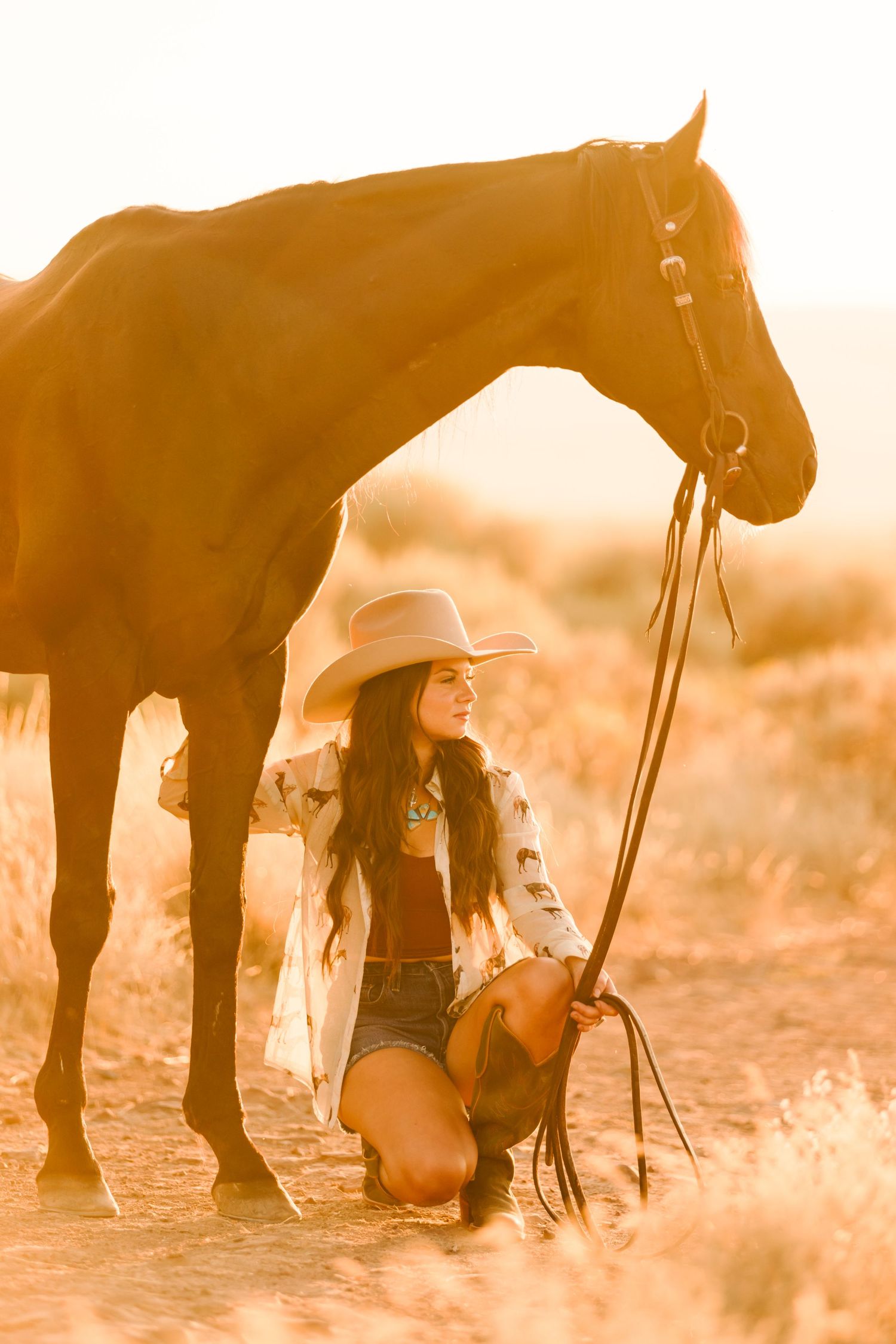 A horse silhouetted against a warm sunset with tall grass in the foreground.