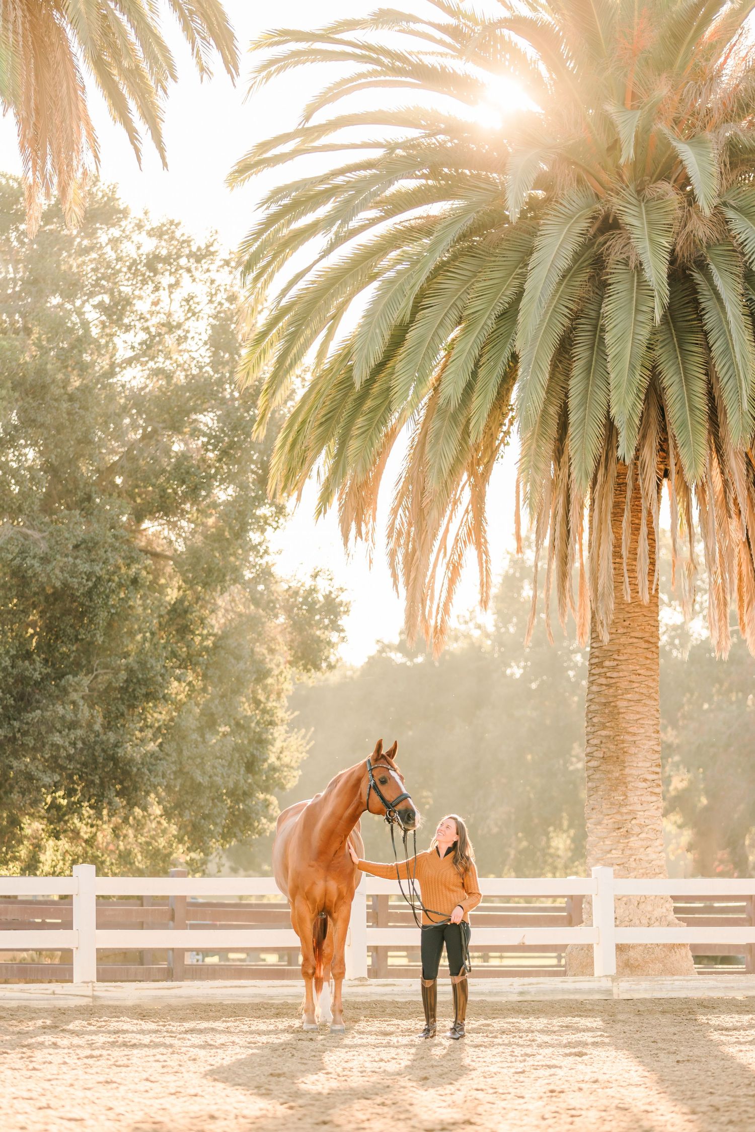 A person stands with a chestnut horse in a sunlit paddock with palm trees and white fencing at sunset.