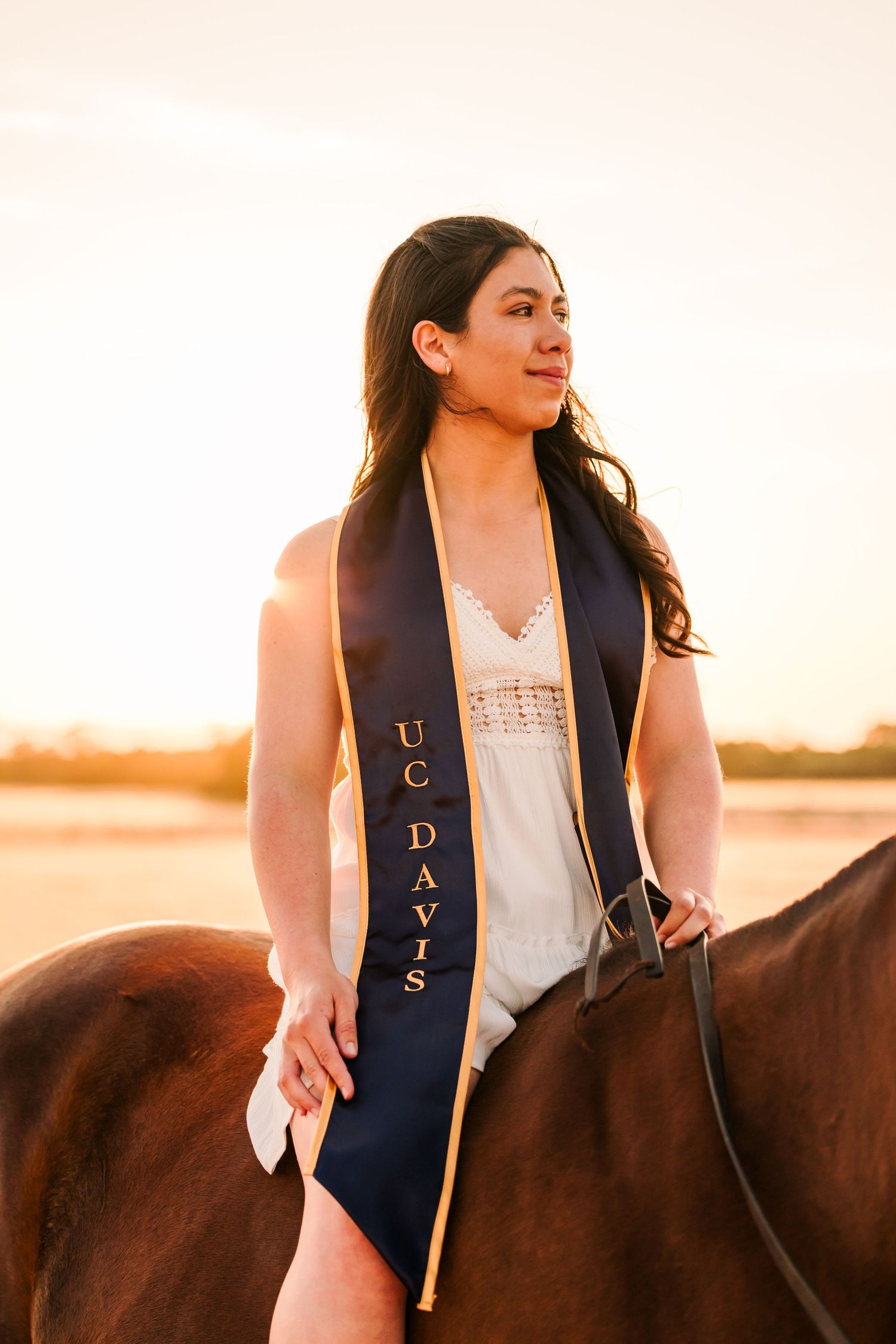 Graduate in navy blue stole poses with brown horse during golden sunset photoshoot.