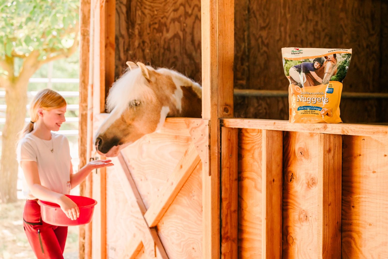 Horse being fed from red bucket in wooden stable with MannaPro product visible.