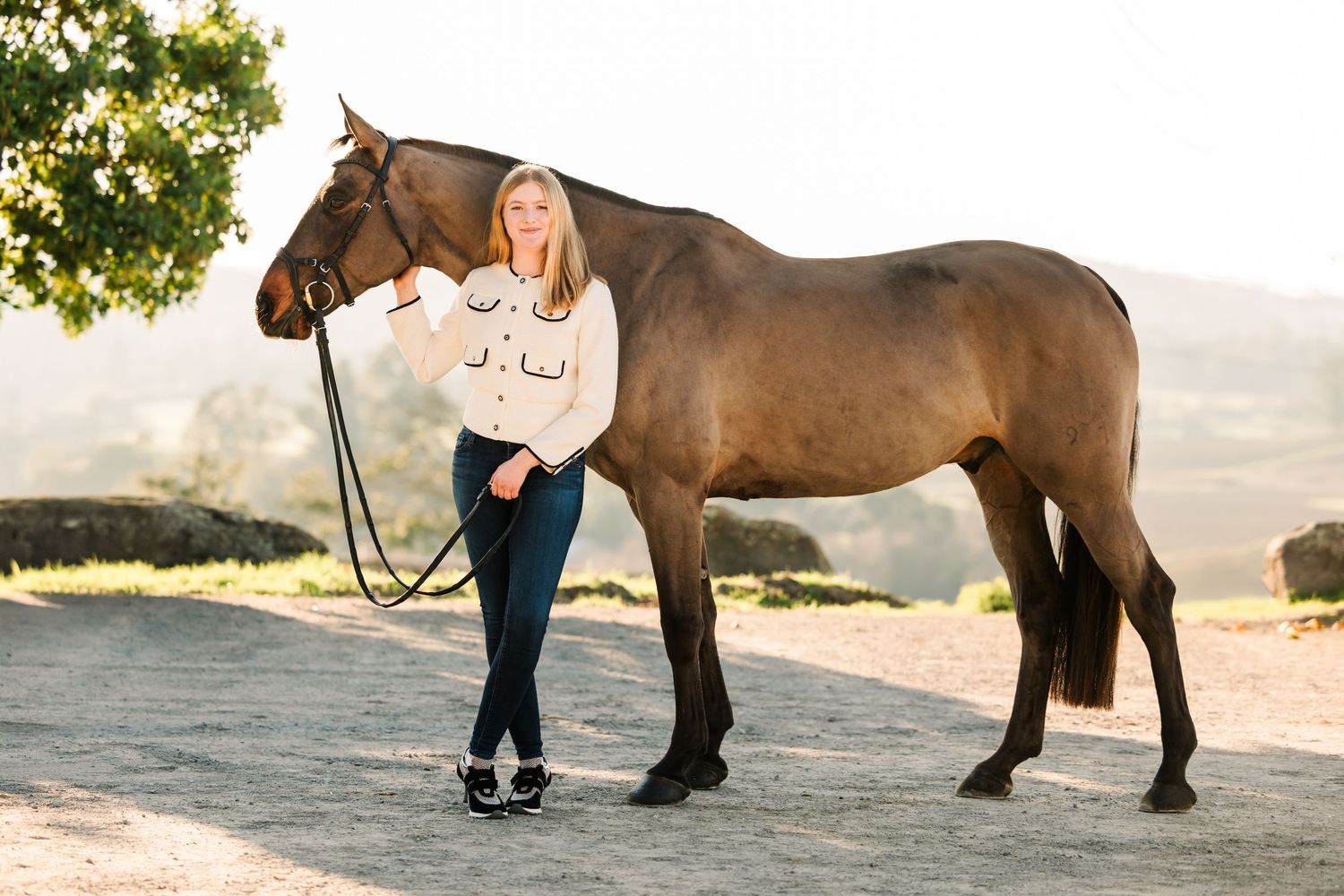 A collection of outdoor equestrian photo shoot images showing a brown horse and rider in golden sunlight.