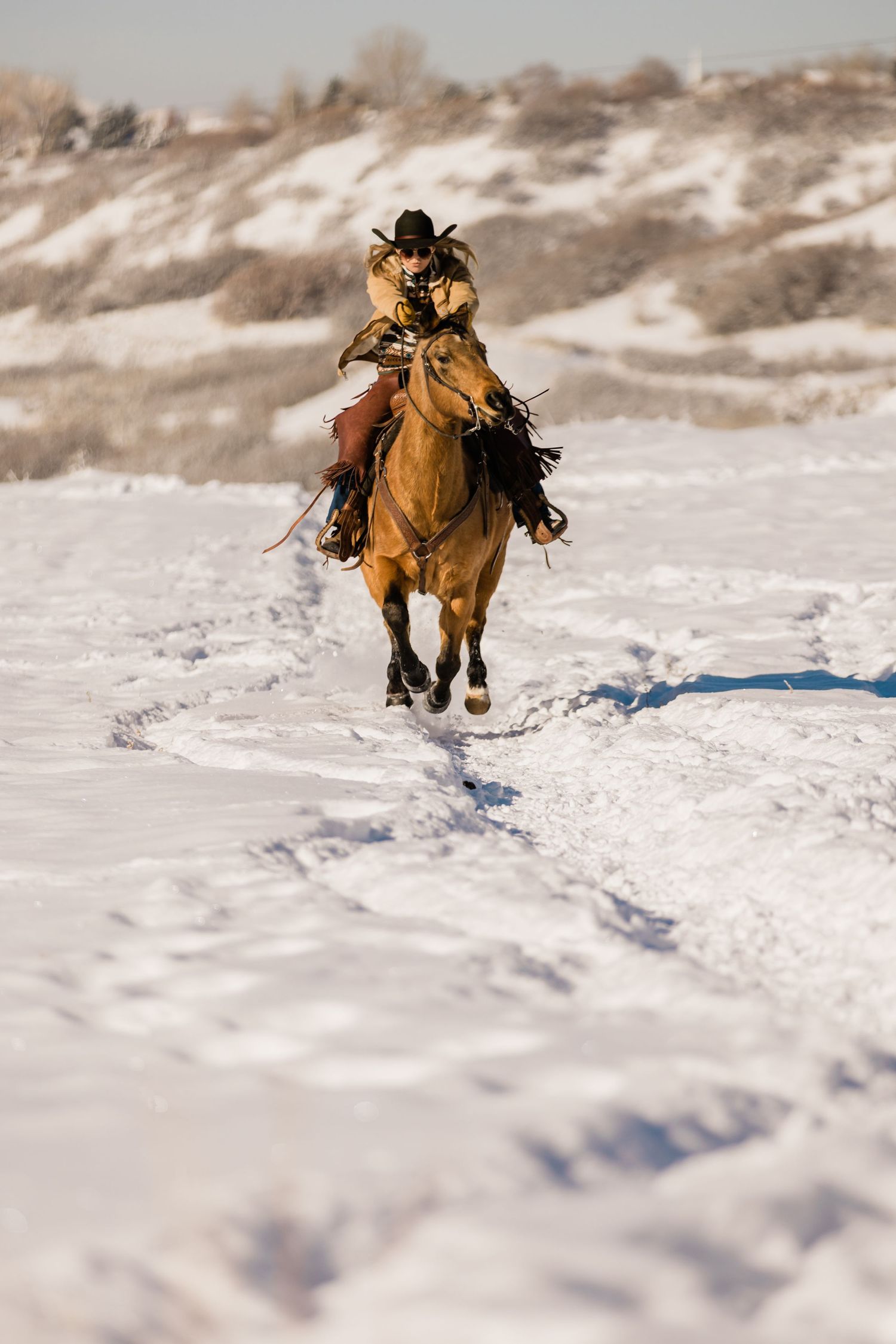 A horse and rider gallop through snowy terrain creating tracks in the fresh powder.