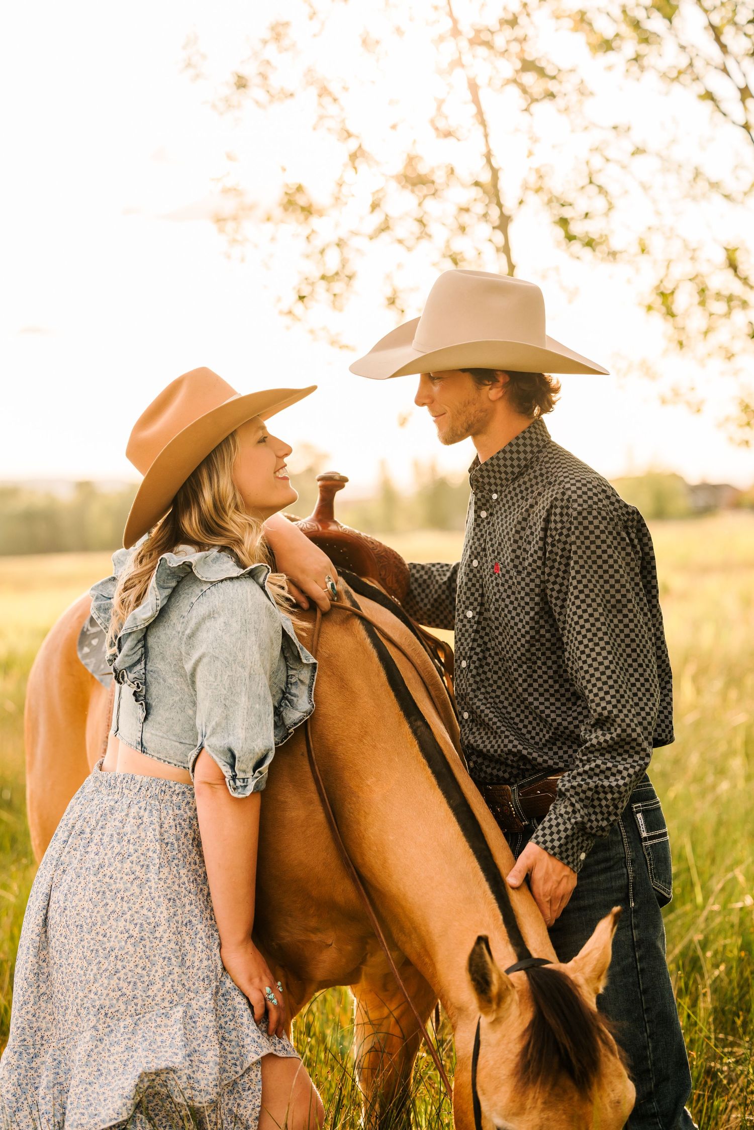 Four images of a couple in western attire posing with their horse in a sunlit field at sunset.