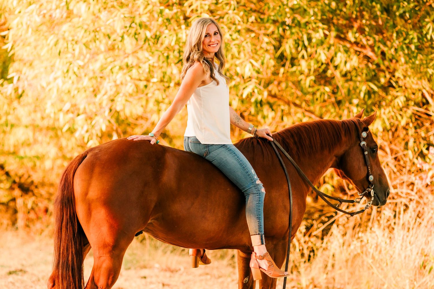A golden-hour horseback riding photo featuring a casual rider on a brown horse.