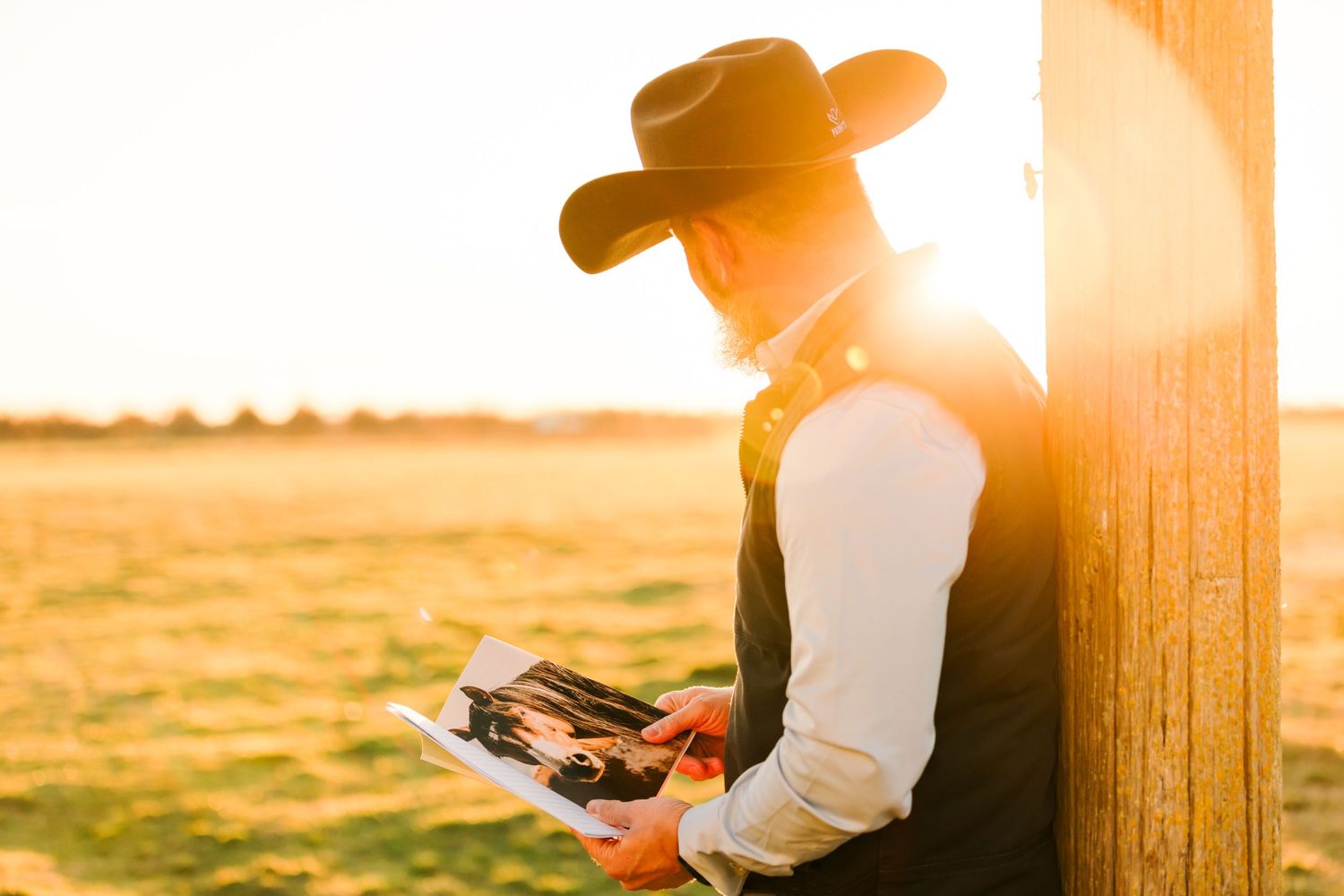 Silhouetted cowboy reading at sunset against golden field and sun flare.
