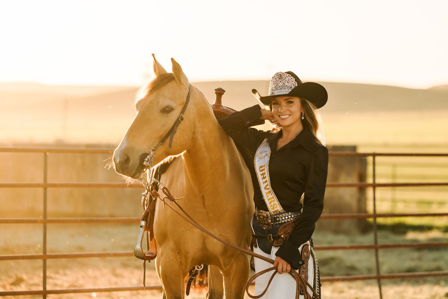 A series of connected images showing a horse and rider training sequence at sunset in a dusty arena.