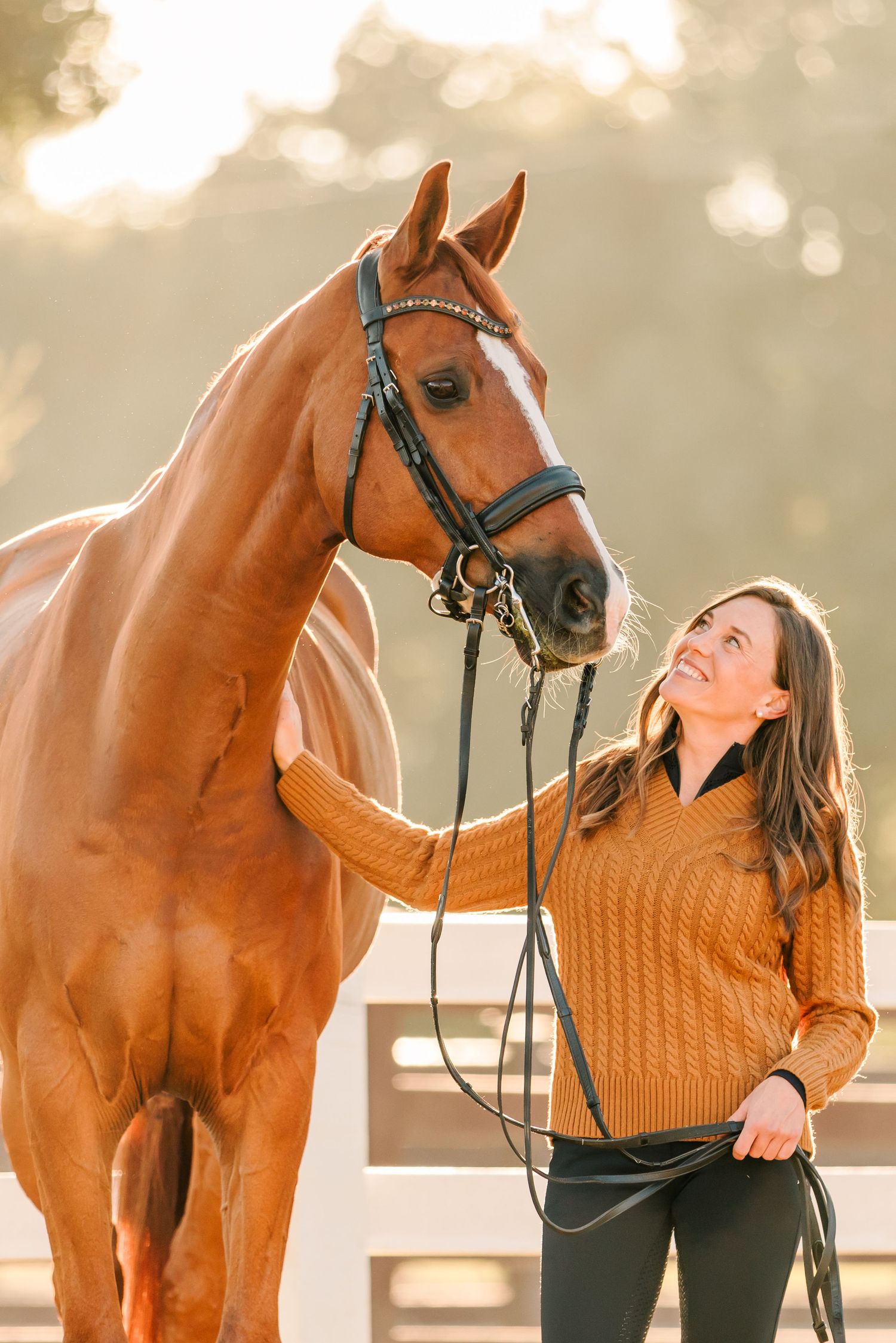 A chestnut horse with black bridle shares a tender moment with someone in an orange sweater.