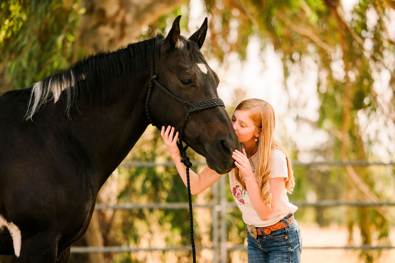A series of photos showing a woman interacting affectionately with a black horse in a sunlit outdoor setting.