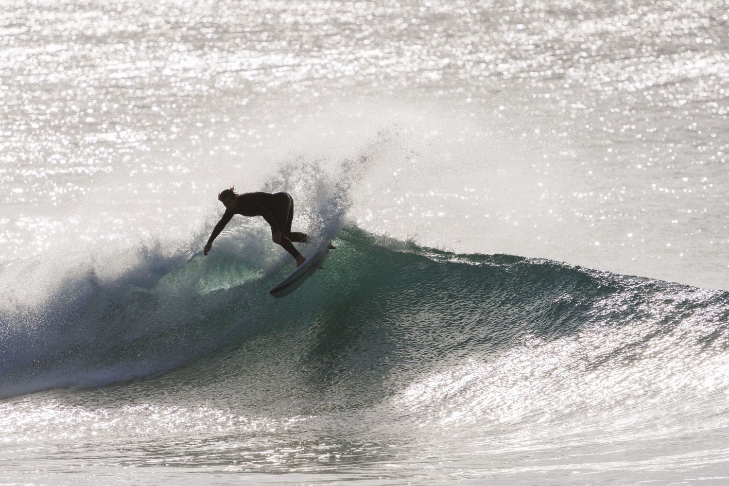 A photo of a surfer carving a back lit wave at Dee Why Beach