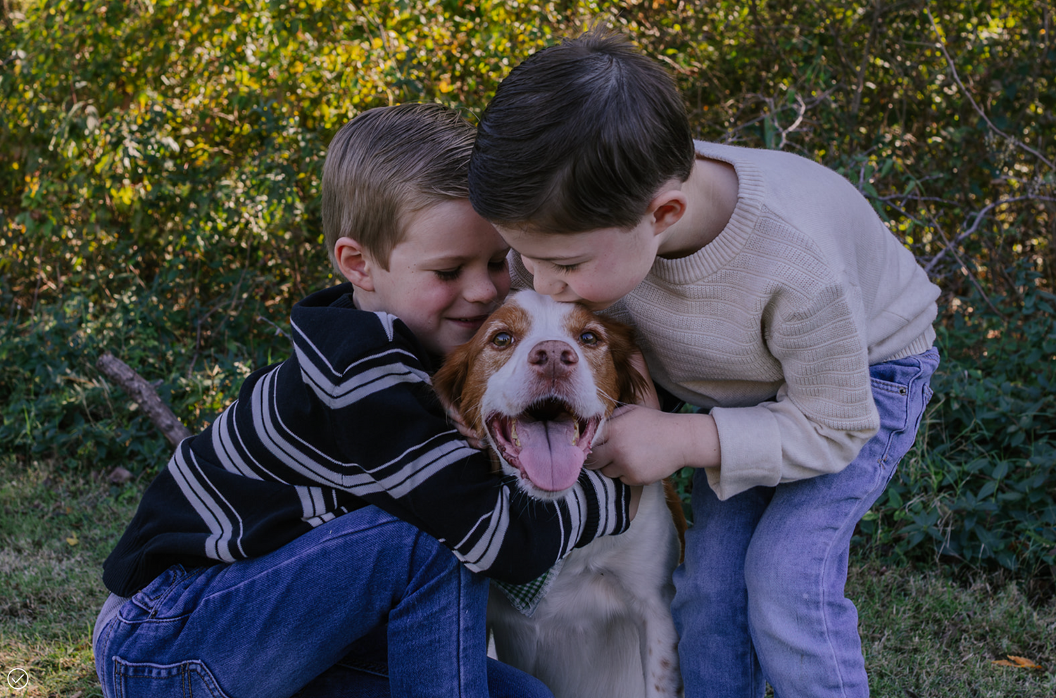 Boys best friend