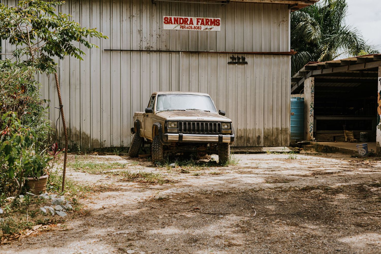 Lifestyle photography in Southwestern Pennsylvania by Cortny Jo Photography.