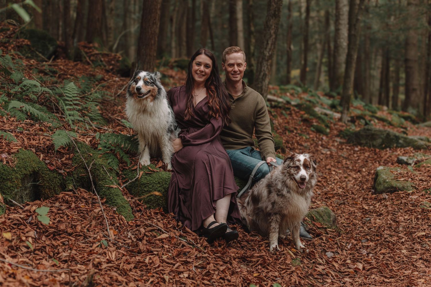 Professional outdoor pet photography in Western Pennsylvania