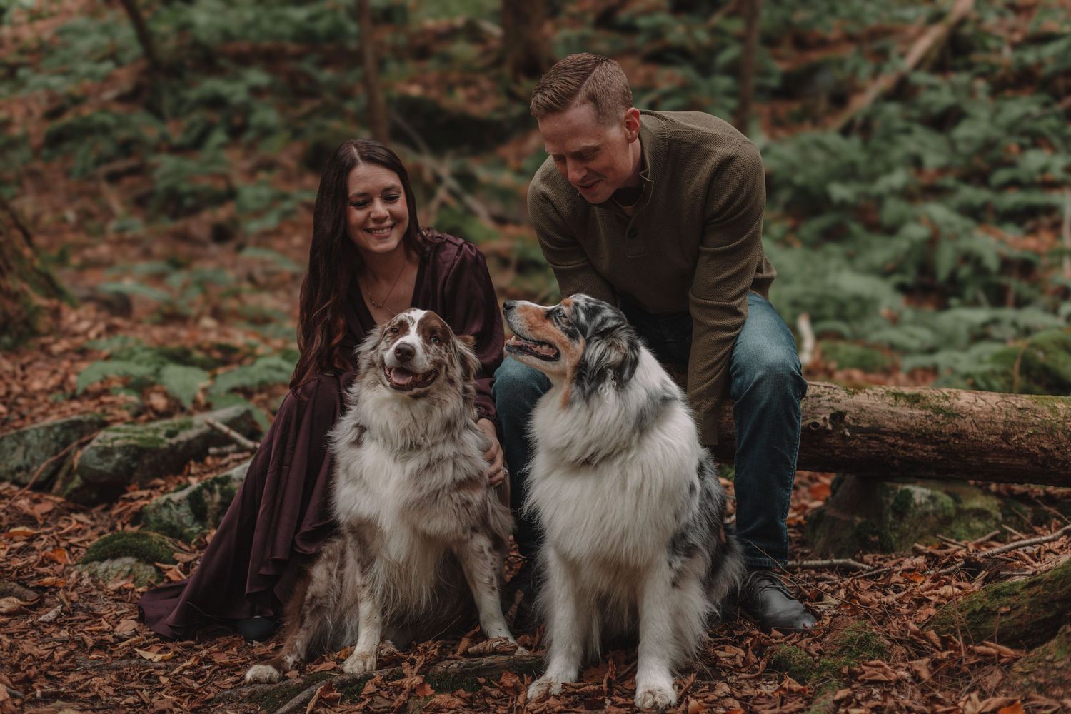Professional outdoor pet photography in Southwestern Pennsylvania
