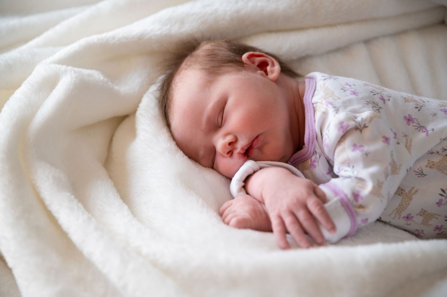 Newborn Session