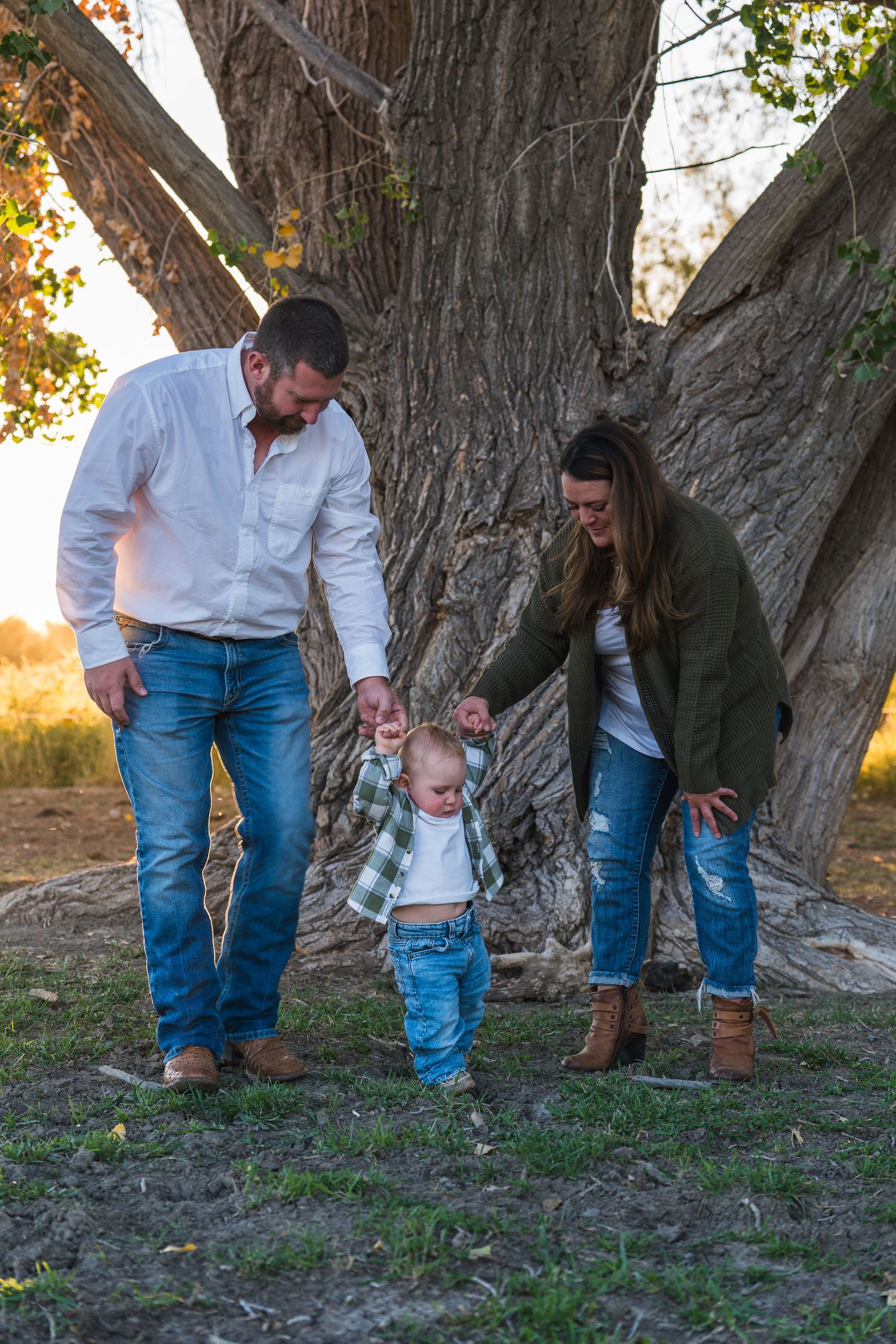 A sequence of candid family moments captured under a large tree trunk during golden hour.