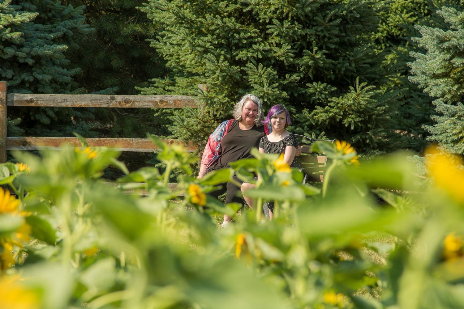 Two people enjoy a sunny afternoon in a lush garden surrounded by vibrant yellow flowers and greenery.