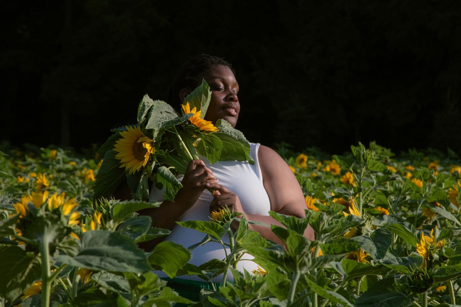 A person walks through a vibrant sunflower field on a sunny day while wearing a white sleeveless top.