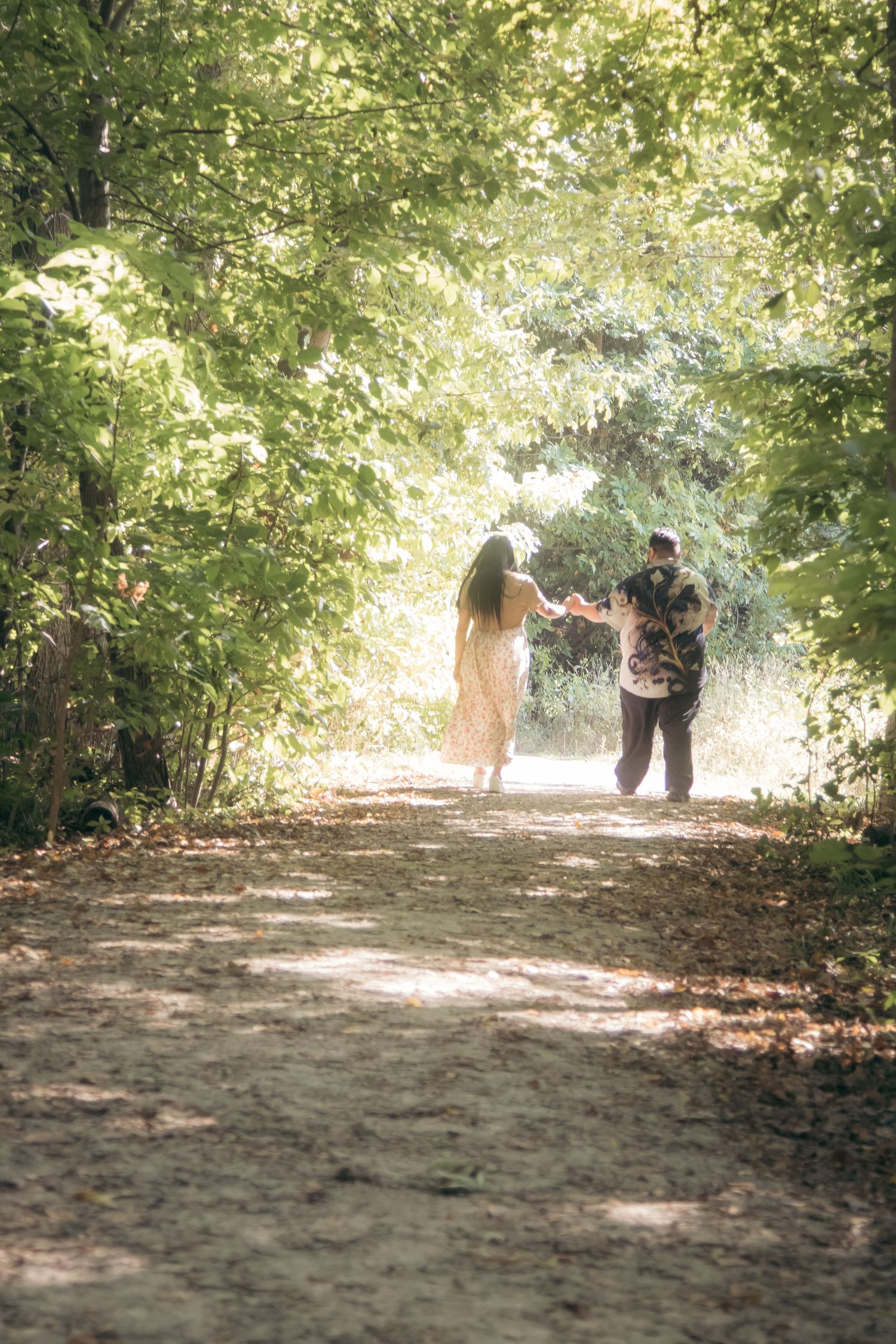 Silhouetted figures walk along a sunlit wooded path covered in dappled shadows from overhanging tree branches.