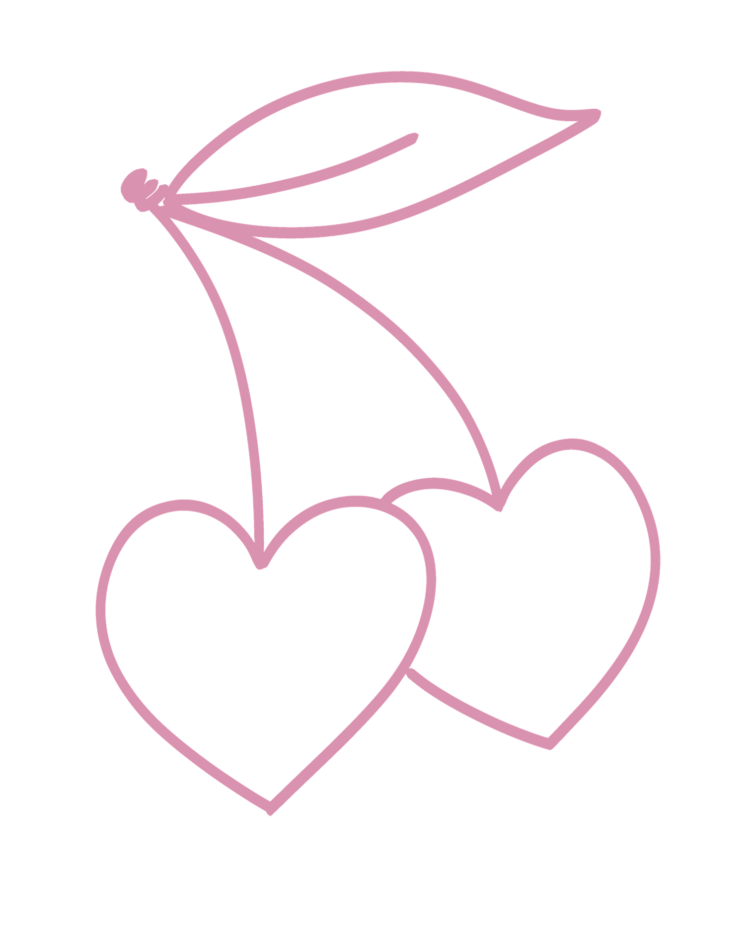 Light pink illustration of two heart cherries with delicate stem lines.