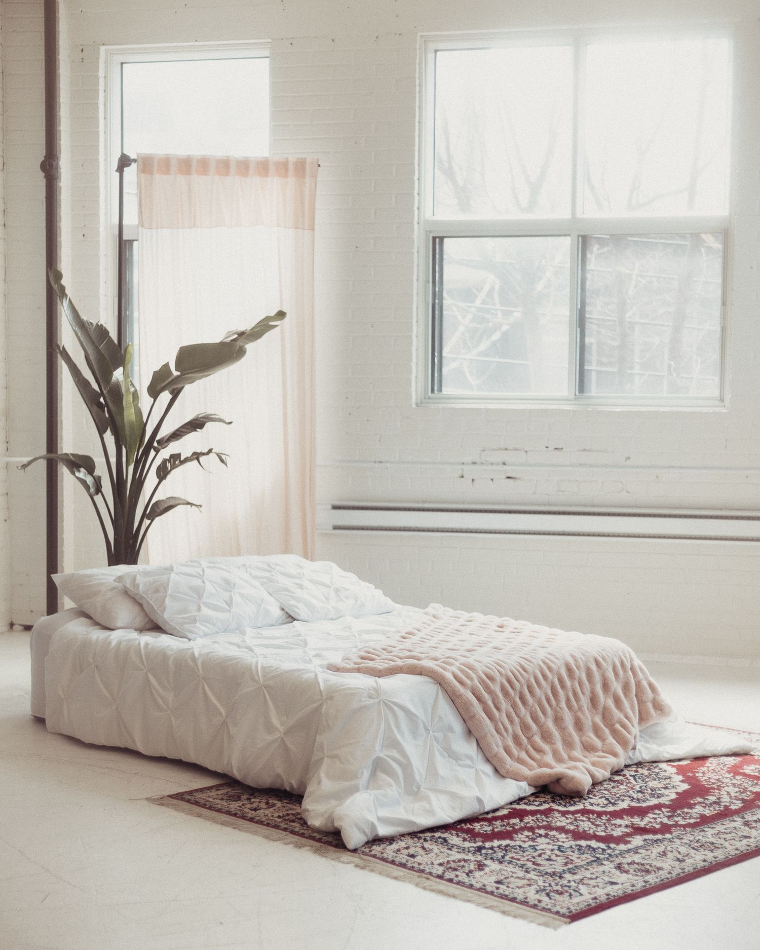 Minimalist white bedroom with mattress on floor, potted plant, and vintage rug in natural light.