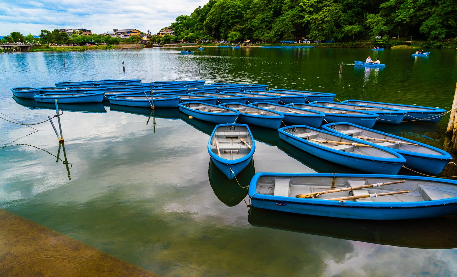 A fleet of blue rowboats docked on a serene lake surrounded by lush green trees.