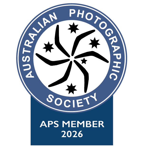 Australian Photographic Society APS Member 2026 circular membership badge with stars.