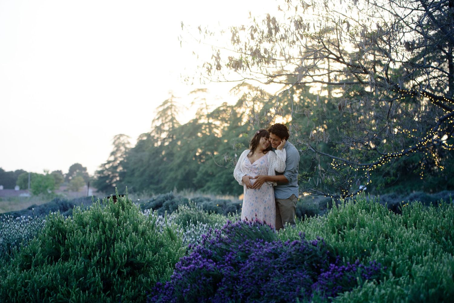 Couple embracing romantically among blooming purple lavender bushes in soft evening light during an outdoor maternity shoot.