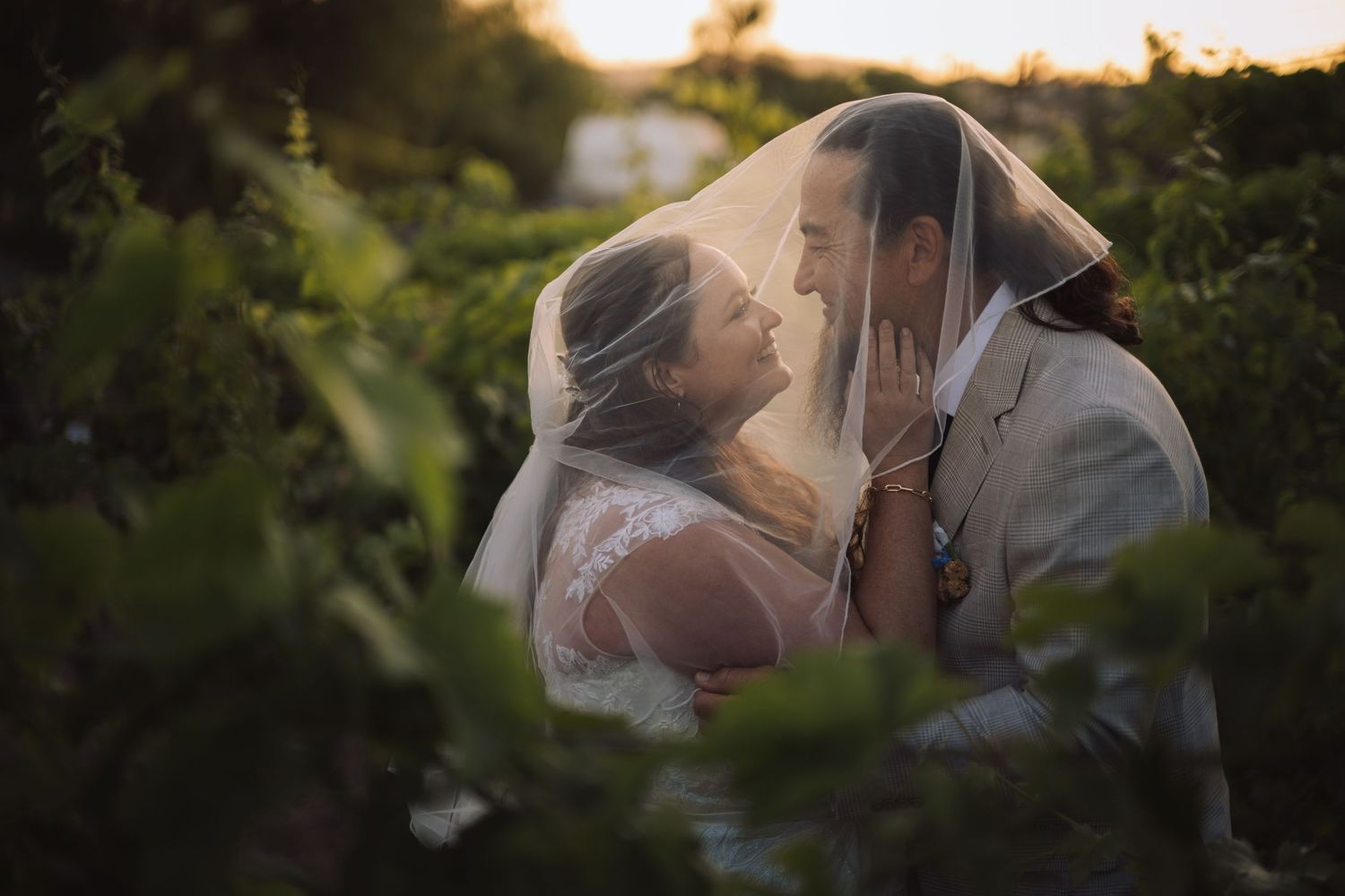 Bride and groom share a romantic kiss under a flowing veil surrounded by lush green vineyard foliage.