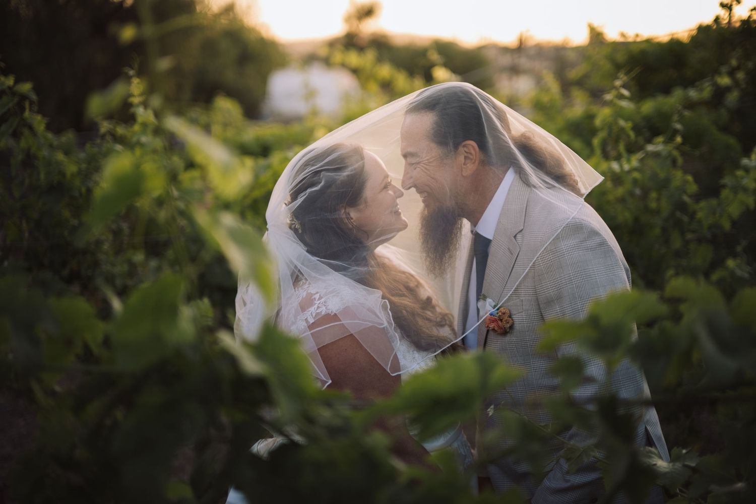 Romantic couple sharing a kiss under bridal veil surrounded by lush green vineyard at sunset.