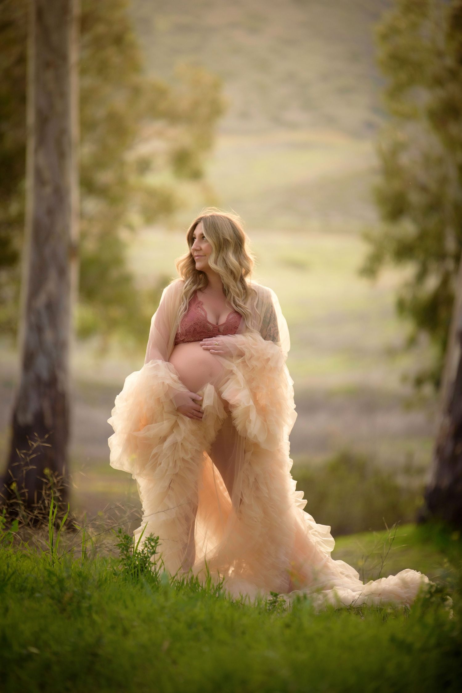 Beautiful pregnant woman in champagne tulle robe standing on a grassy hillside with scenic valley backdrop.