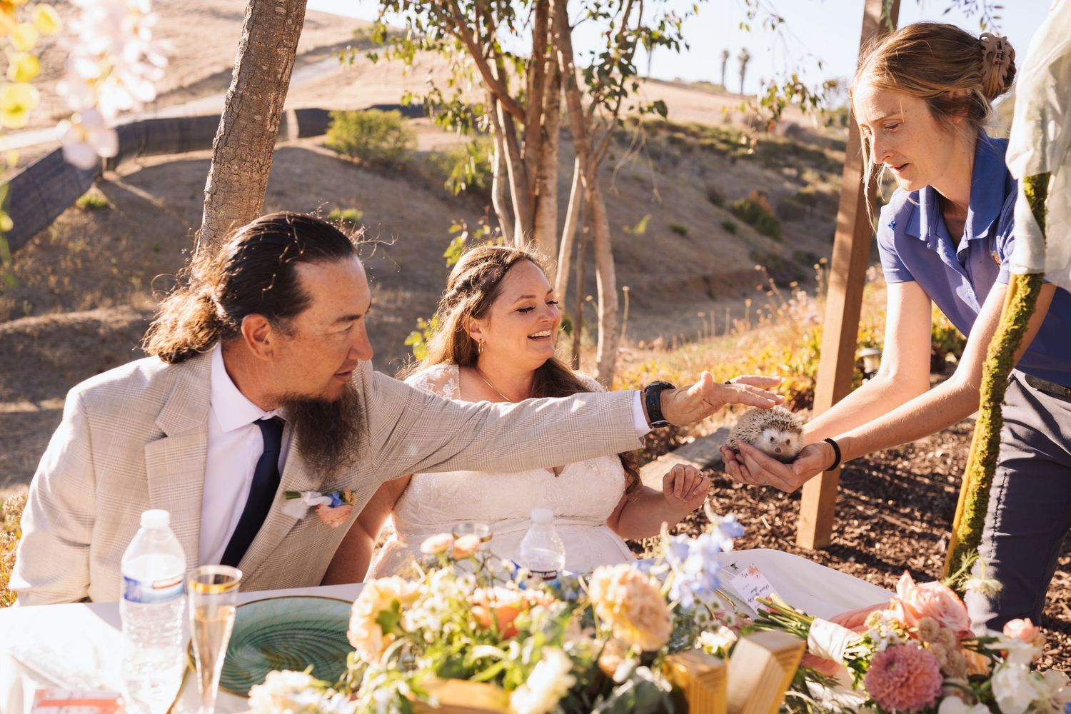 Bride and groom seated at reception table reaching out to touch a small hedgehog held by a handler.